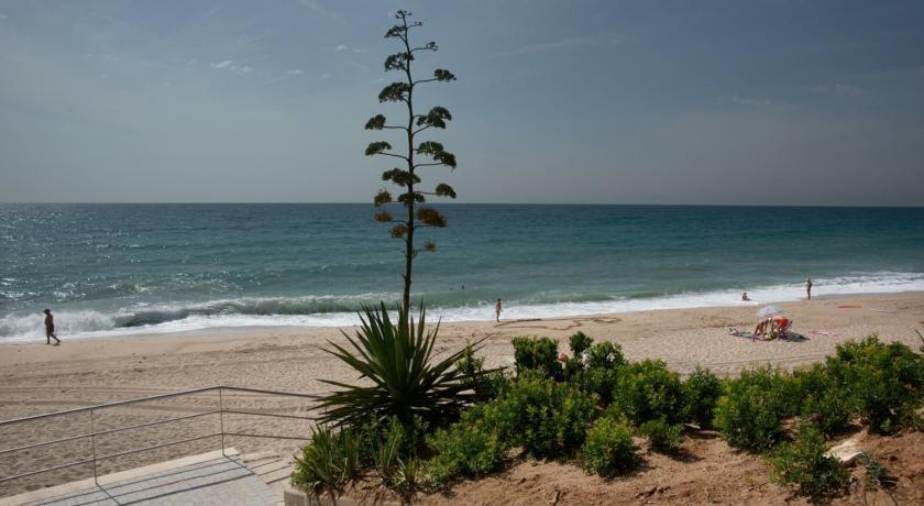 Apart. A-Dorada Miami Playa Lägenhet Exteriör bild